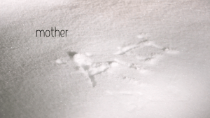 screen-shot-2016-12-14-at-15-14-20